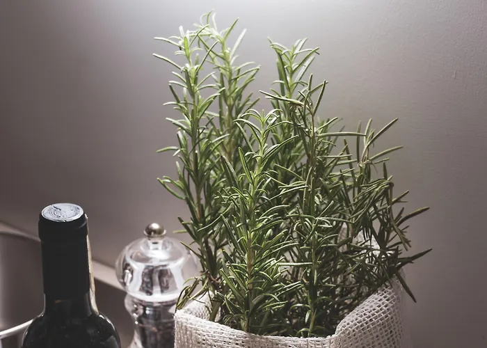 Residenza Ducato Aparthotel Venice