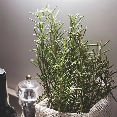 Residenza Ducato Lägenhetshotell Venedig